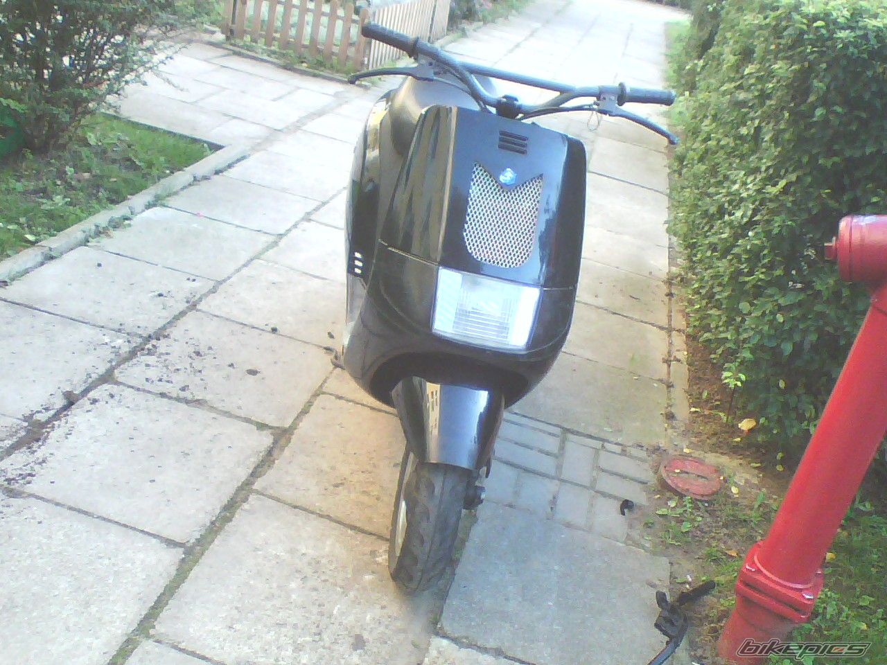 Photo 1450525