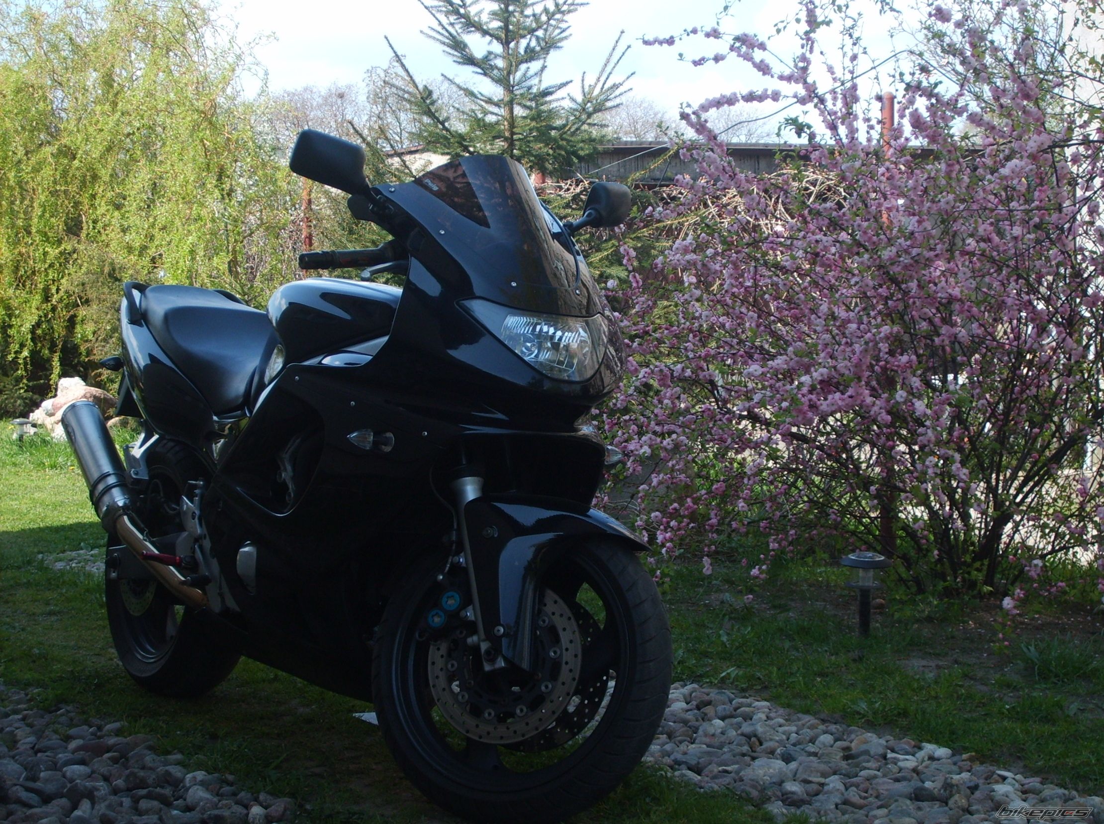 Photo 1450637