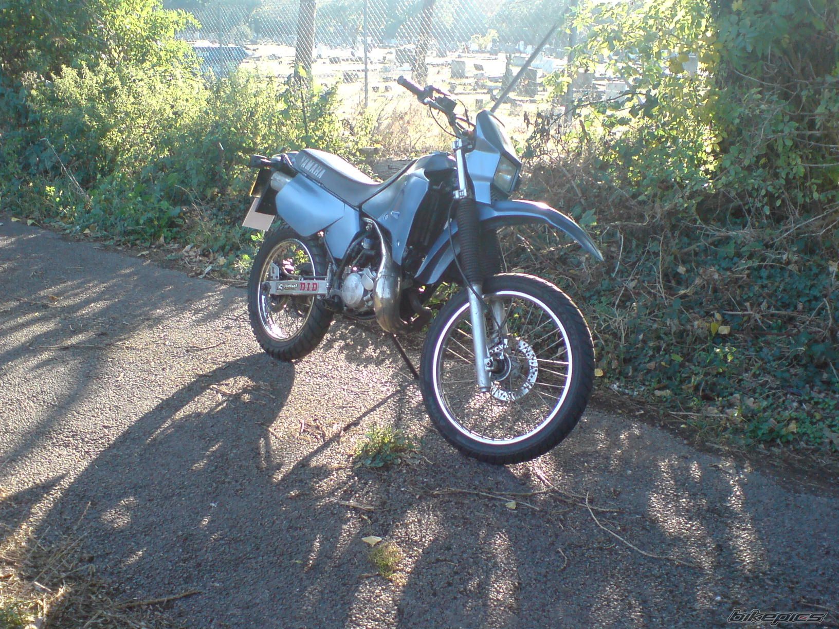 Photo 1450649