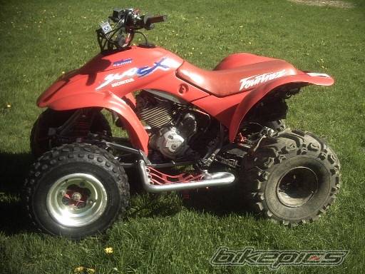 Photo 145069