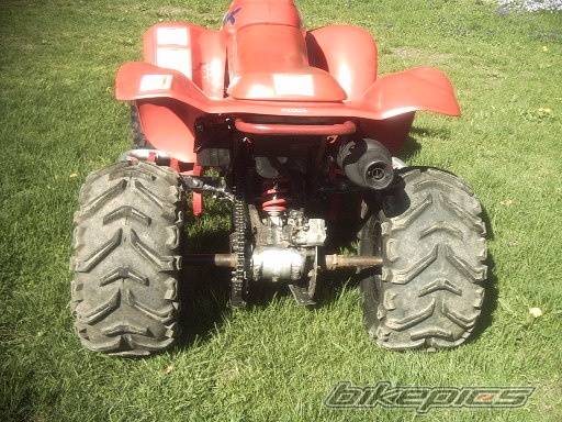 Photo 145072