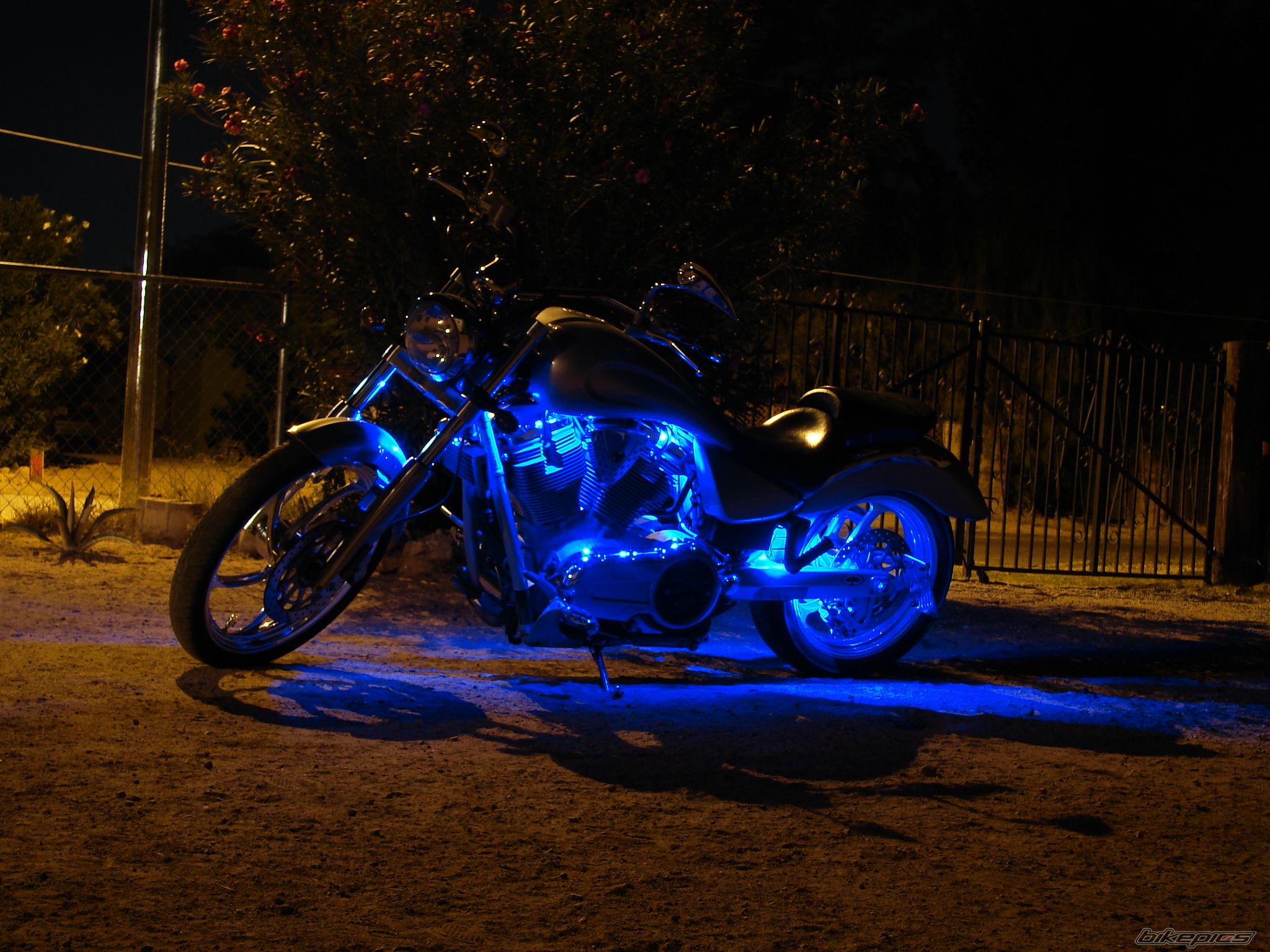 Photo 1450897
