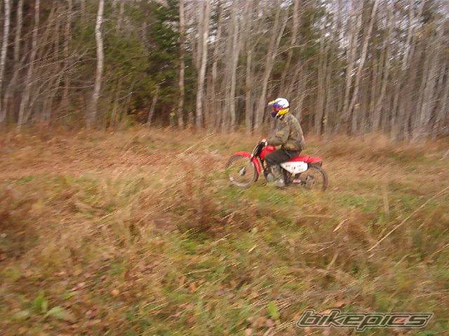 Photo 145098