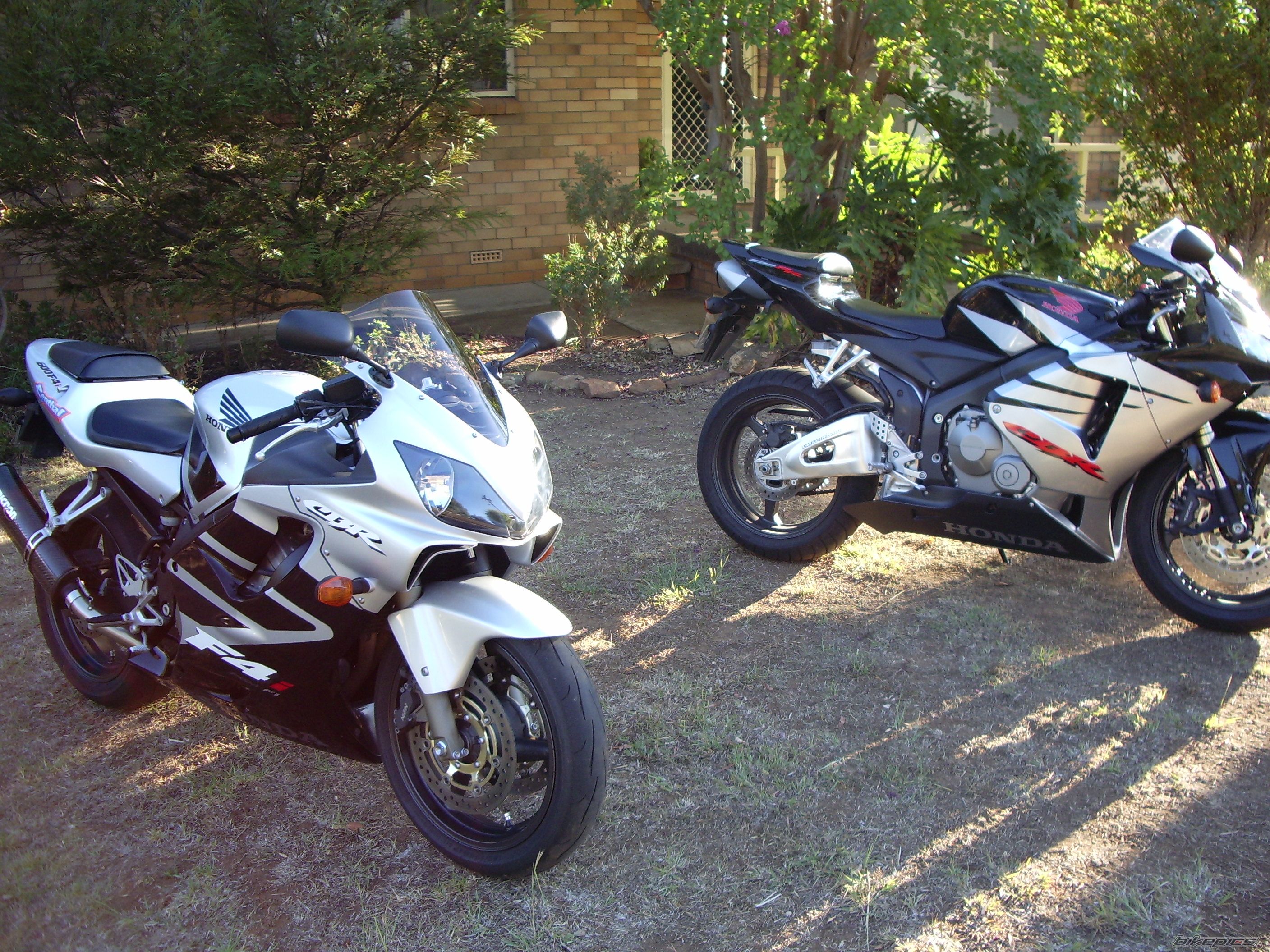 Photo 1451022