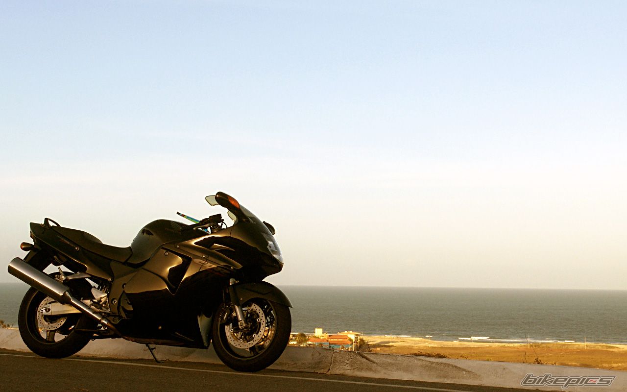 Bike Photo 1451093