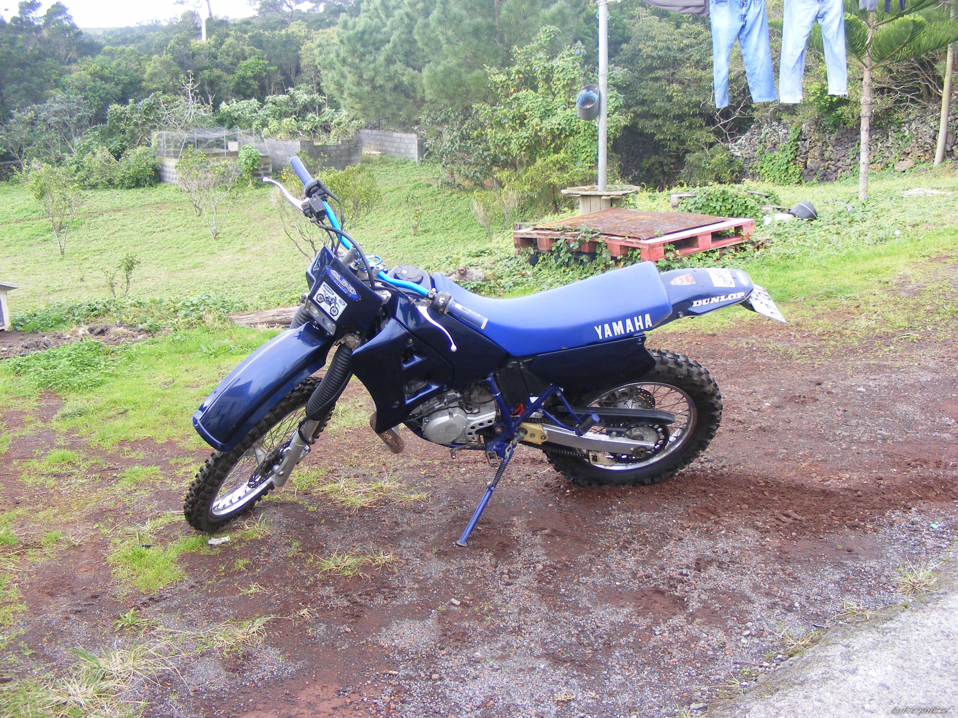 Photo 1451094