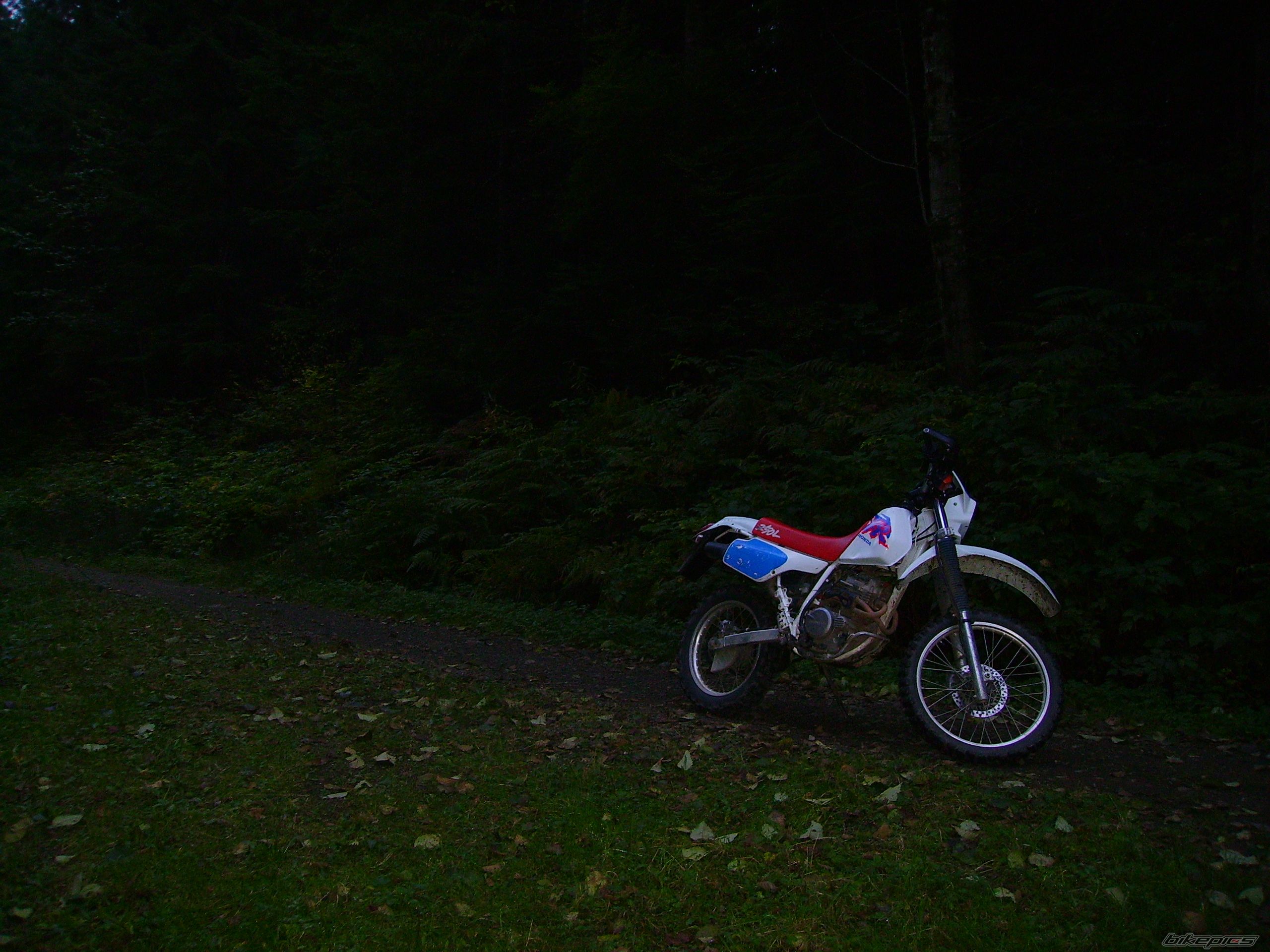 Photo 1451124