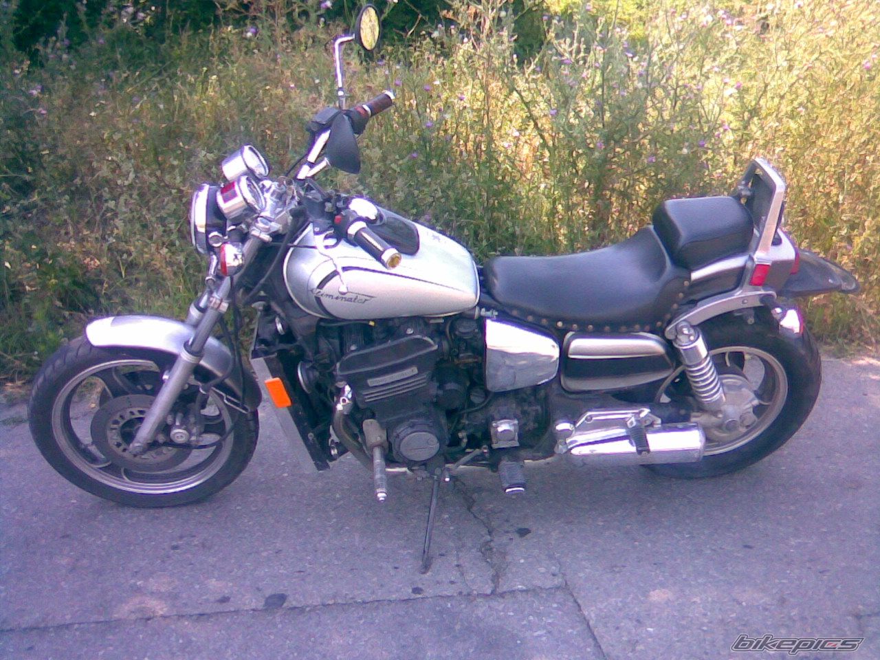 Photo 1451132