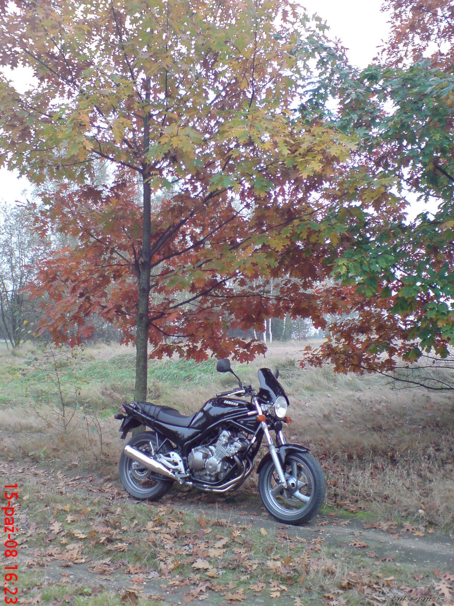 Photo 1451134