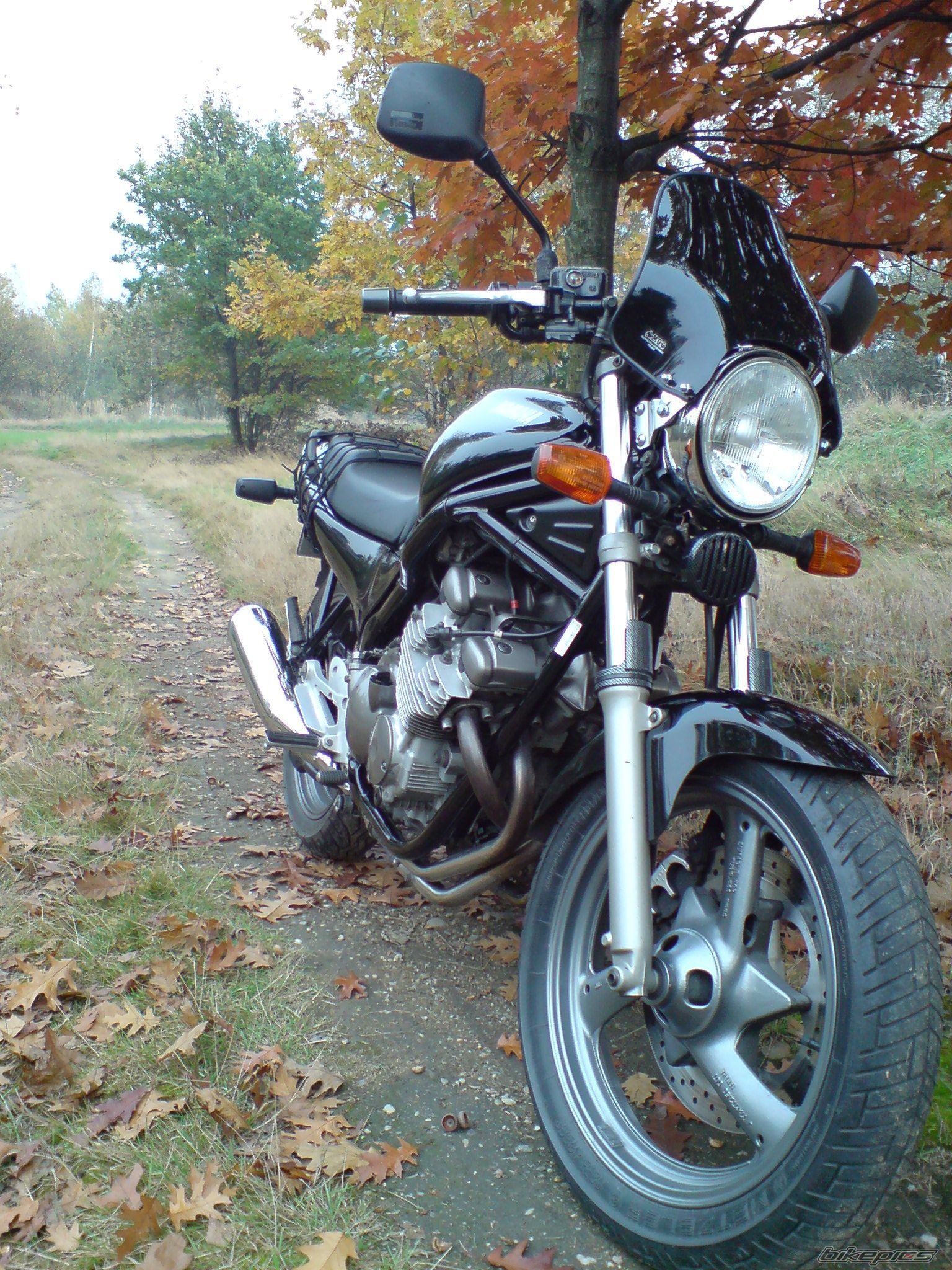 Photo 1451135
