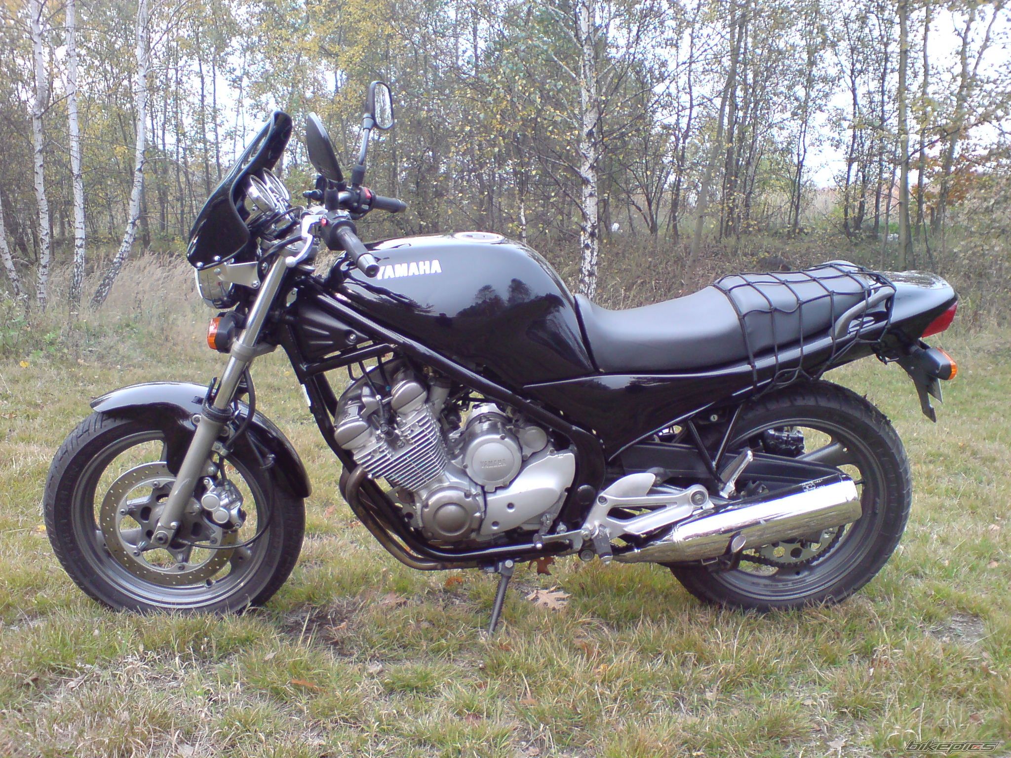 Photo 1451136