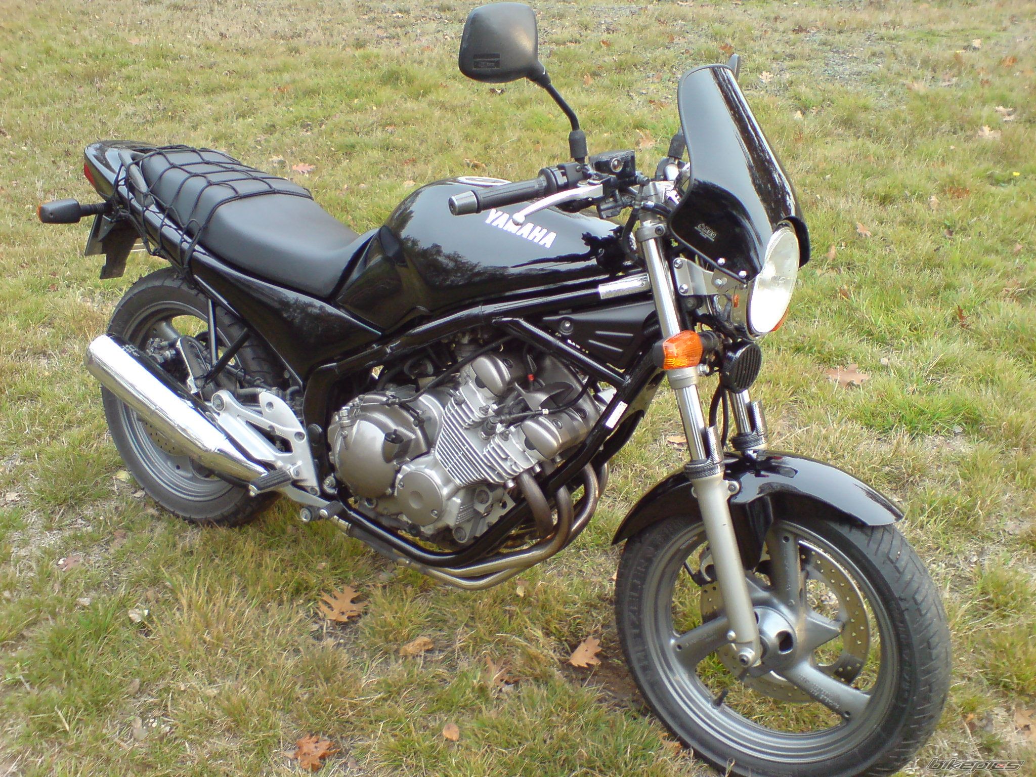 Photo 1451141