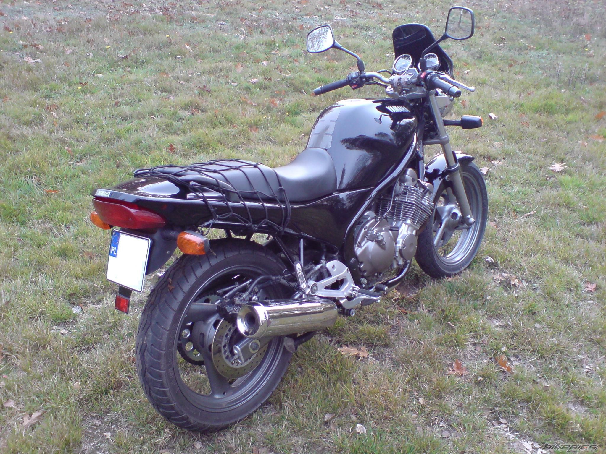 Photo 1451146