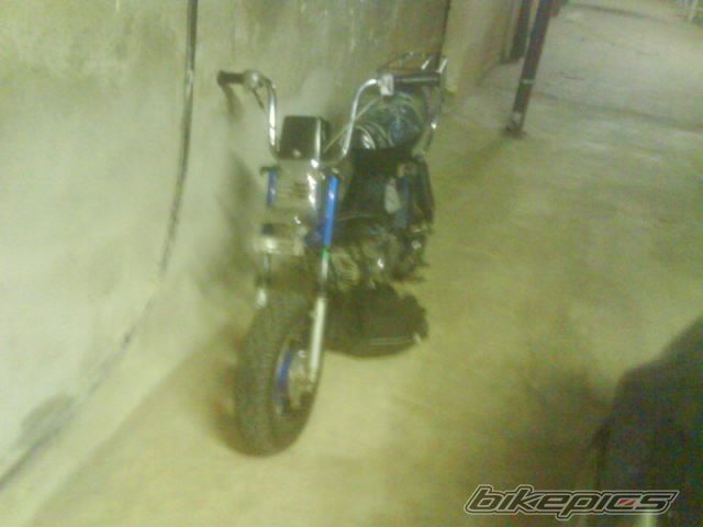 Photo 1451173