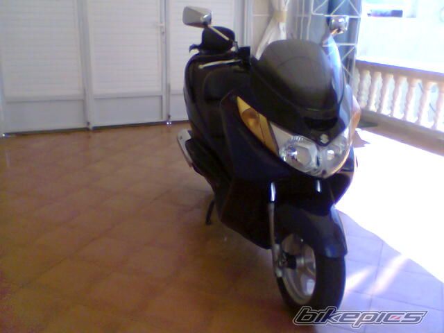 Photo 1451185