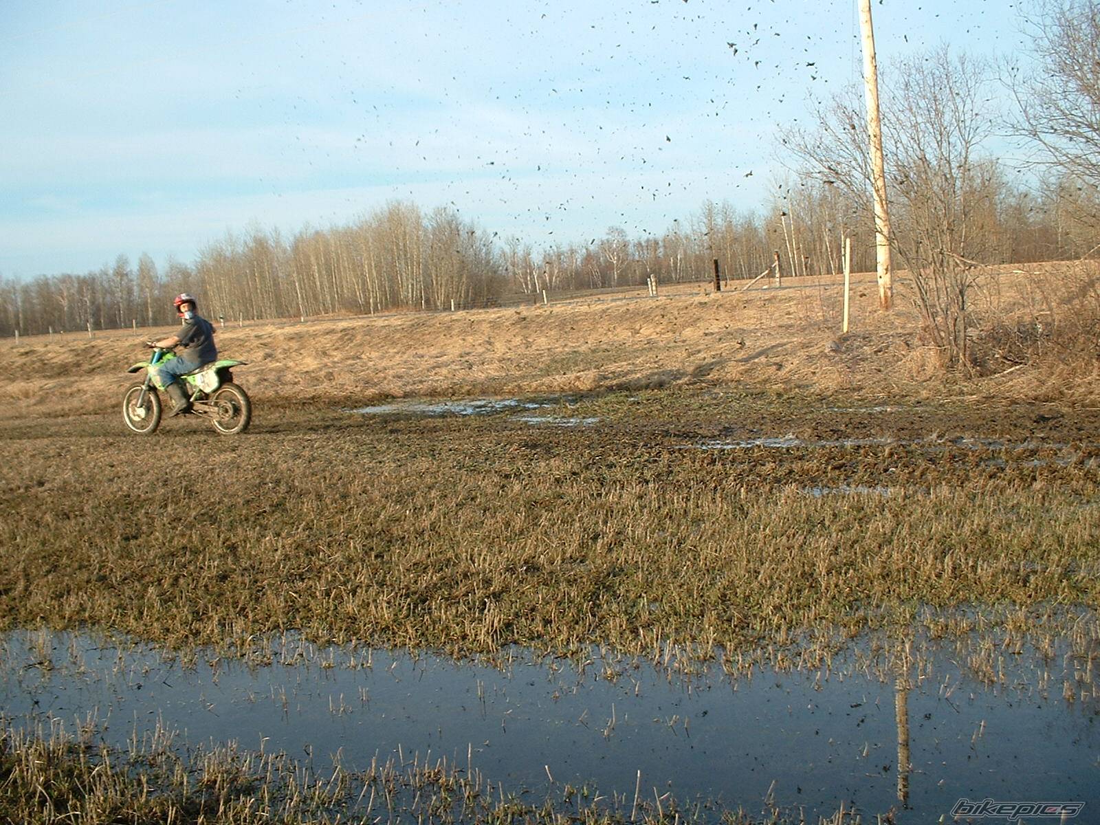 Bike Photo 145119