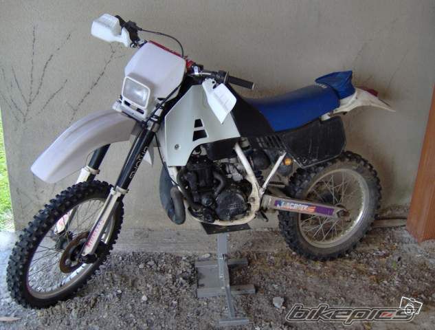 Photo 1451248