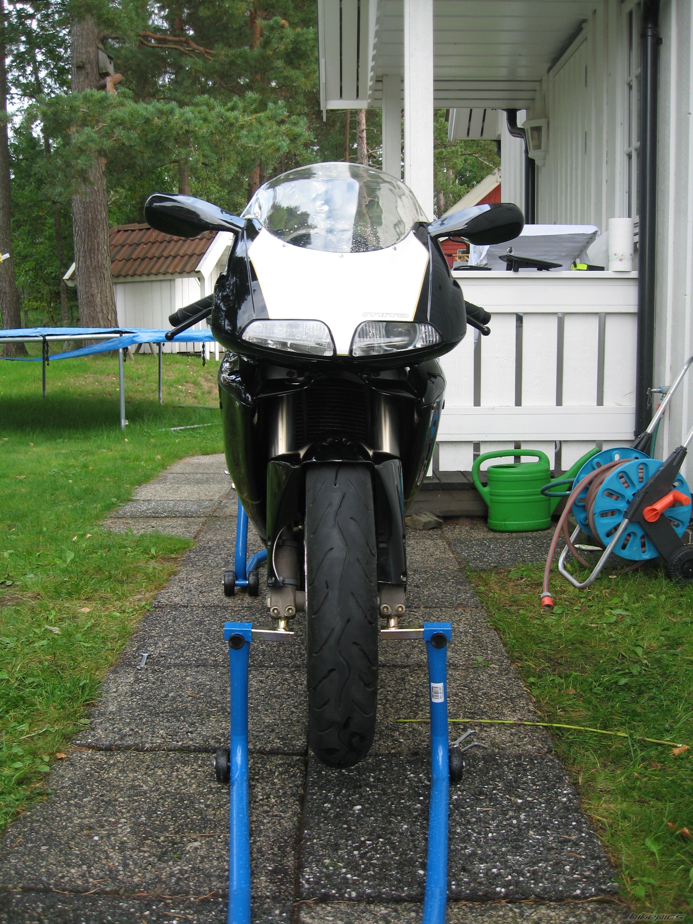 Photo 1451259