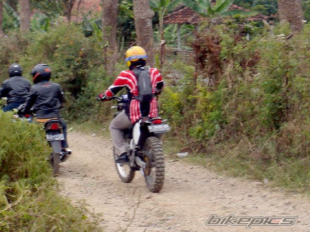 Photo 1451308