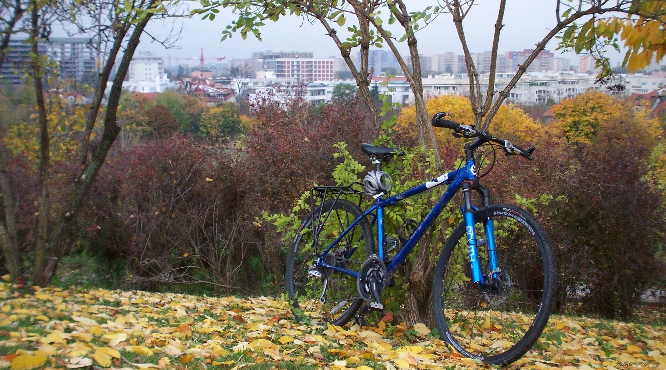 Bike Photo 1451309