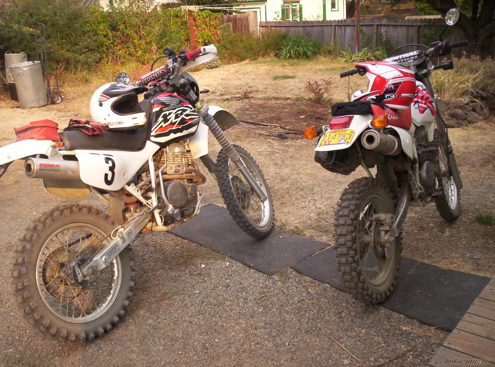 Photo 1451310