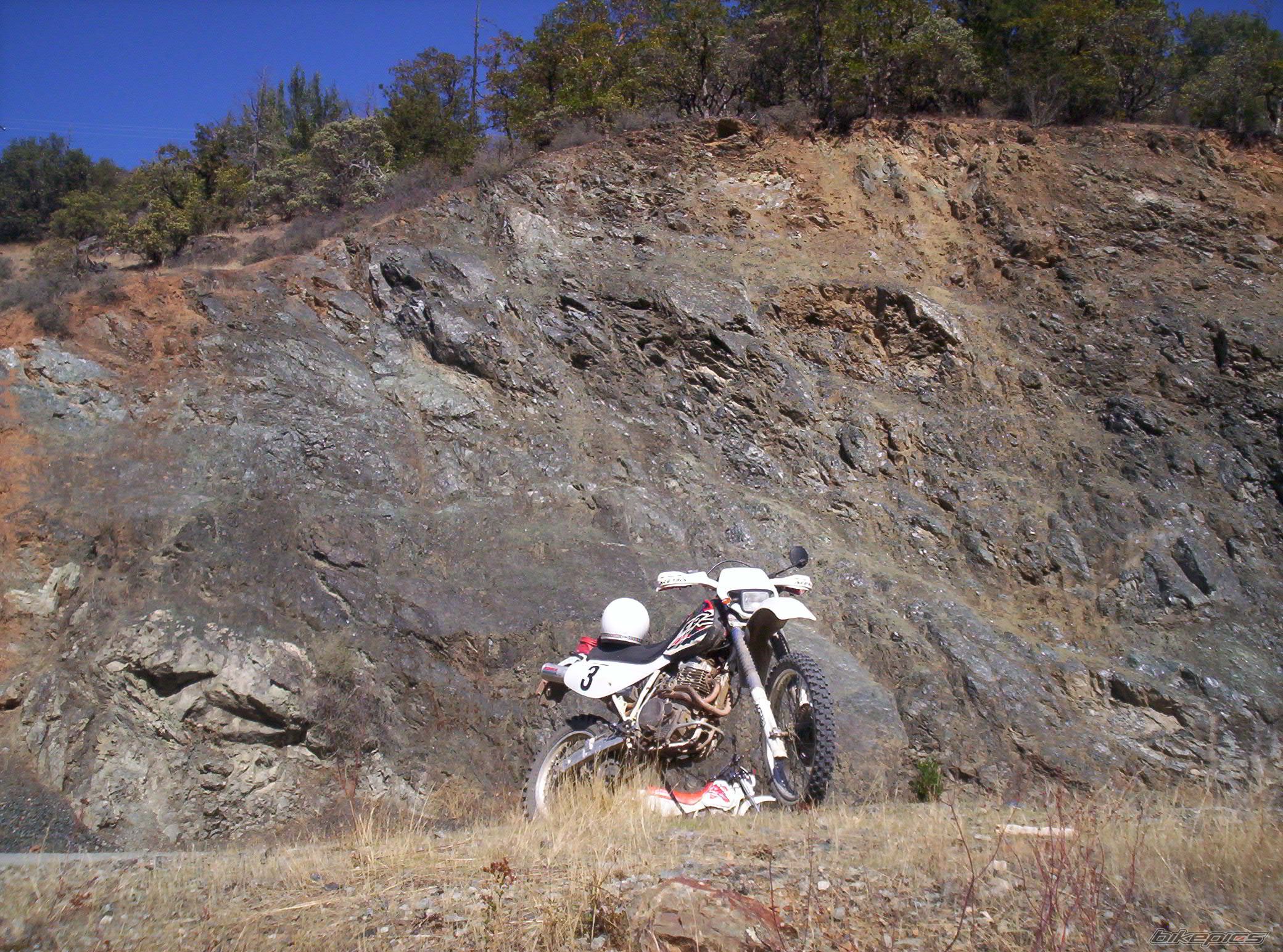 Bike Photo 1451311
