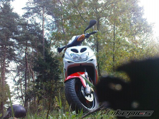 Photo 1451319