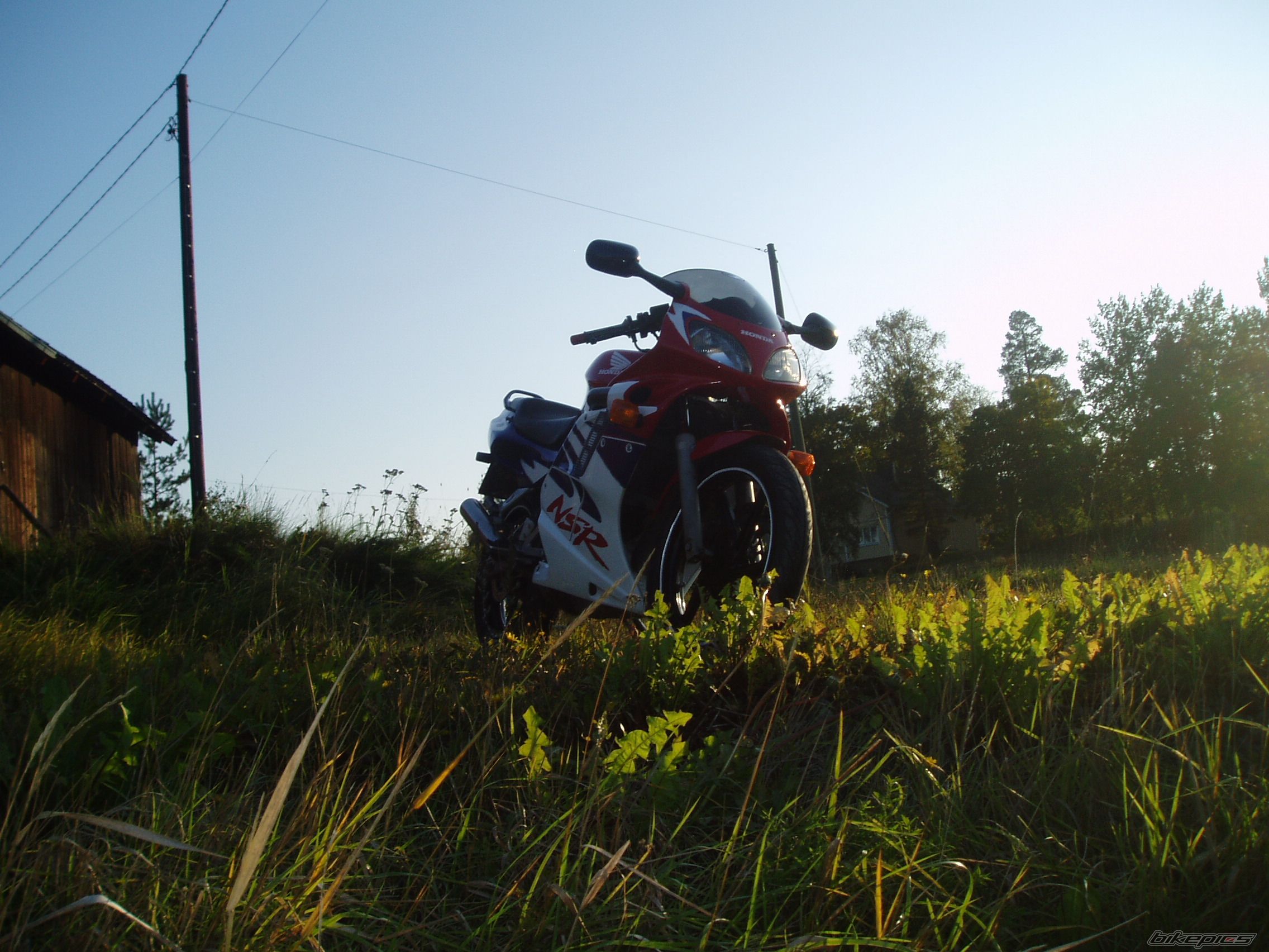 Photo 1451332