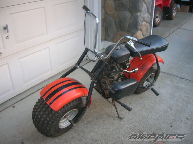 Photo 1451333