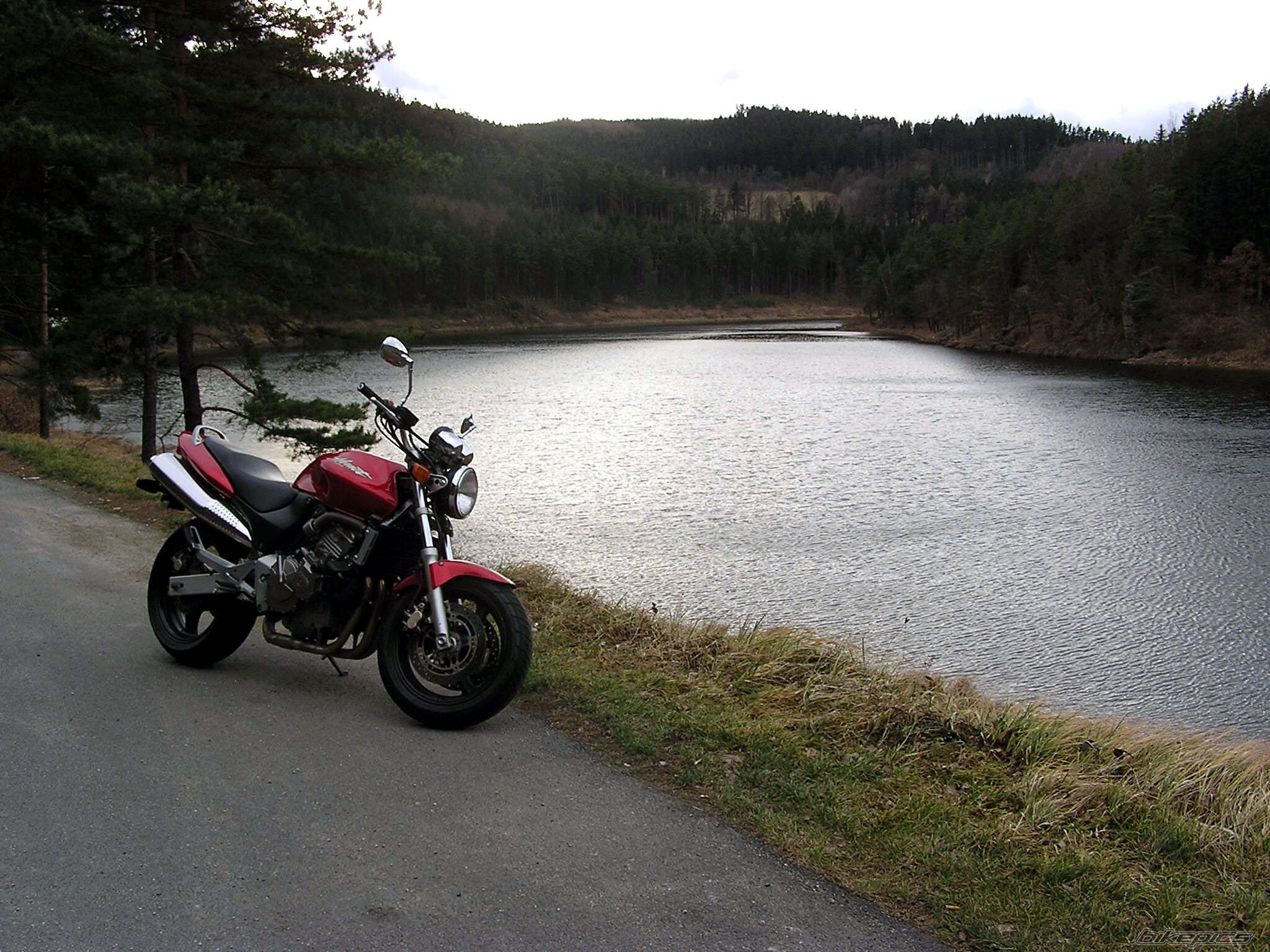Photo 1451364