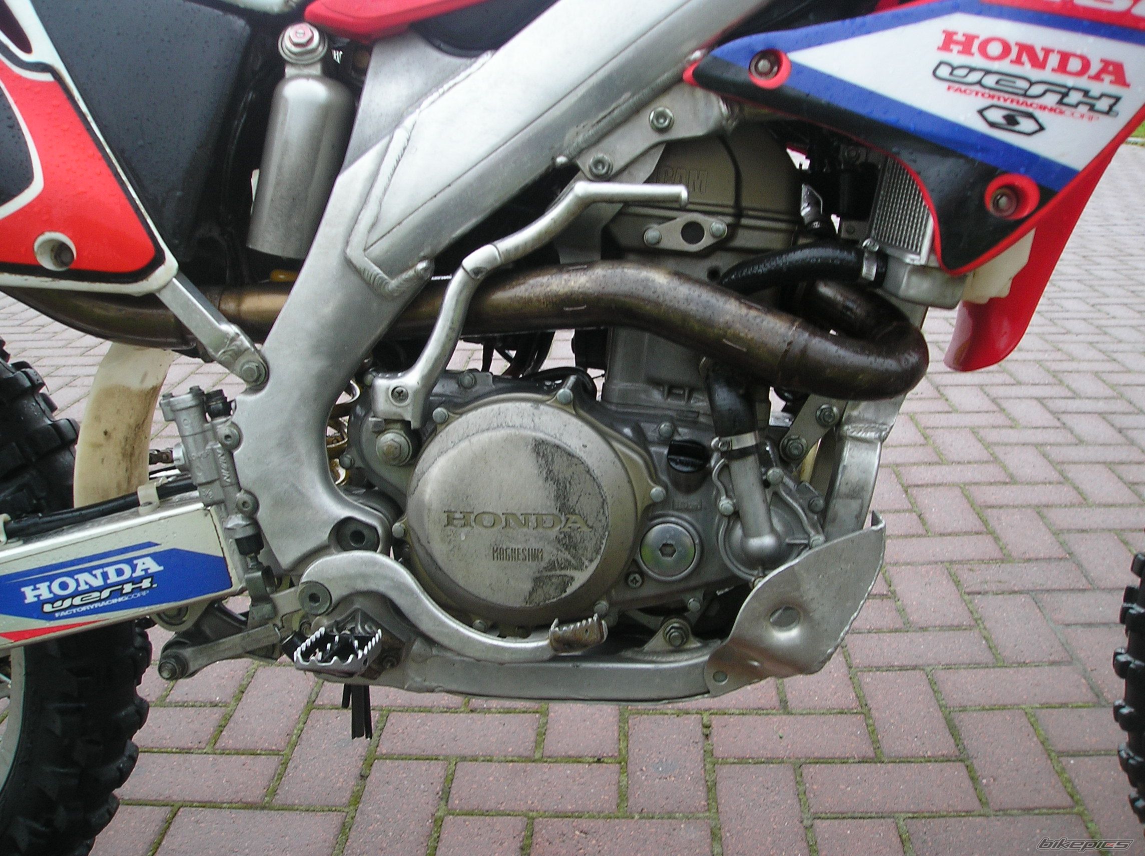 Photo 1451433
