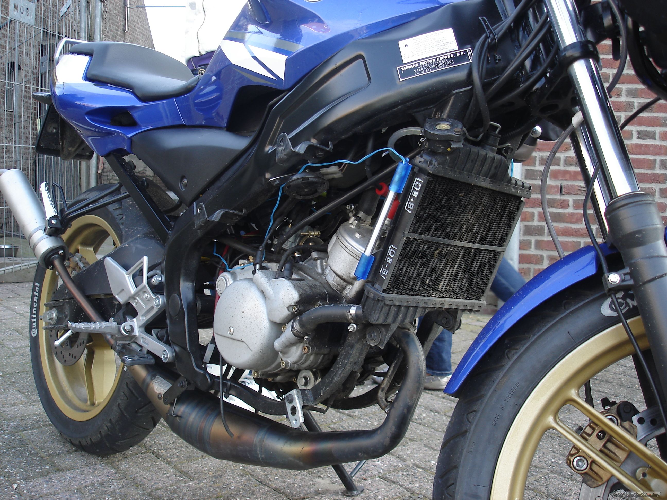 Photo 1451465