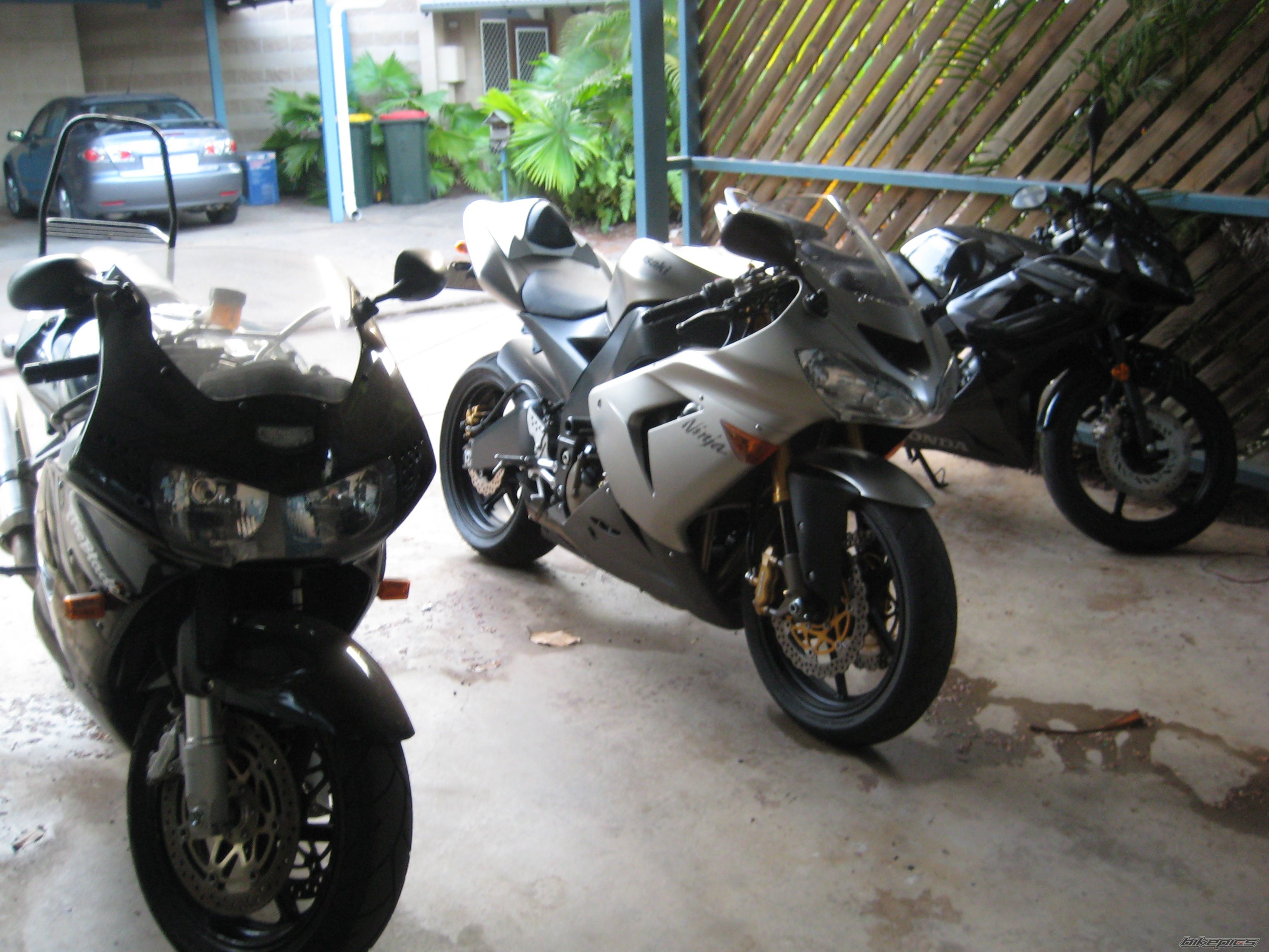 Photo 1451501