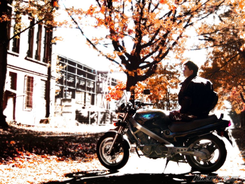 Bike Photo 1451605
