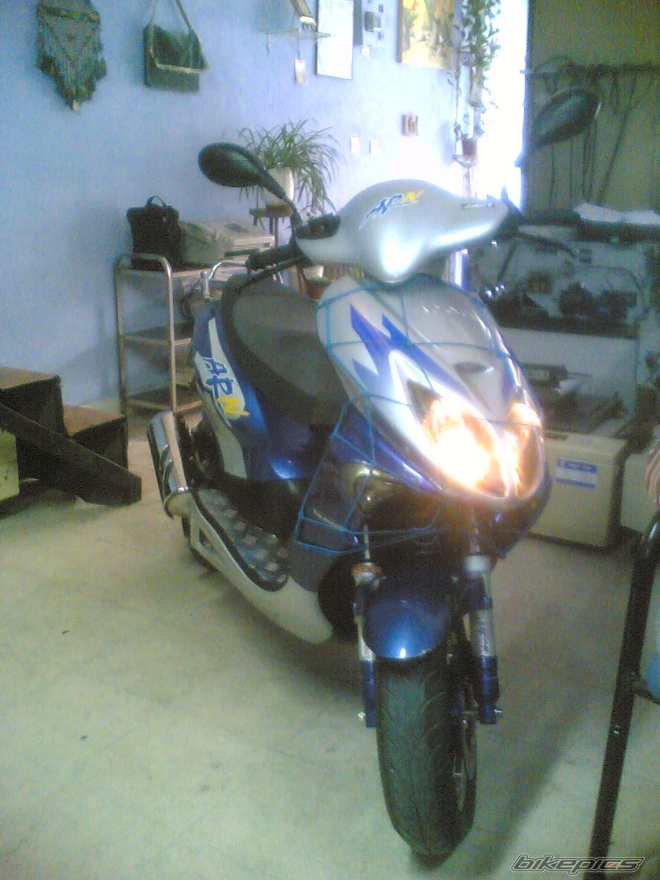 Photo 1451622