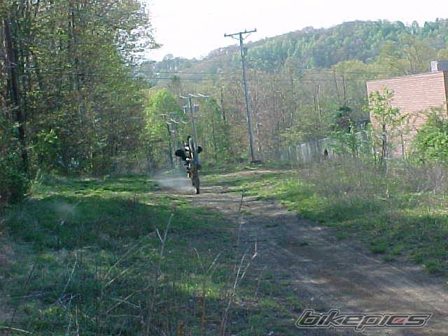 Photo 145166