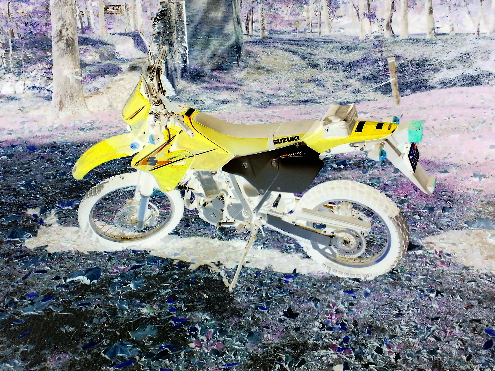 Bike Photo 1451684