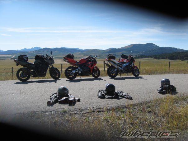 Photo 1451690