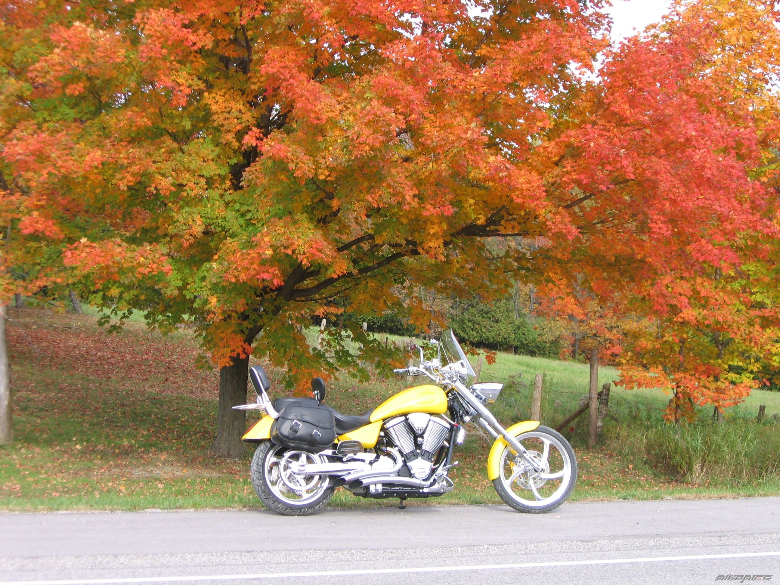 Bike Photo 1451723
