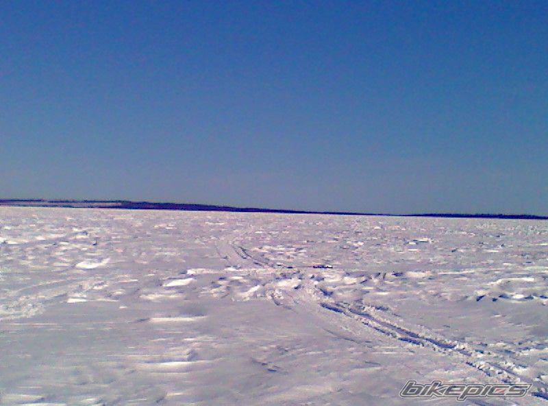 Photo 1451736