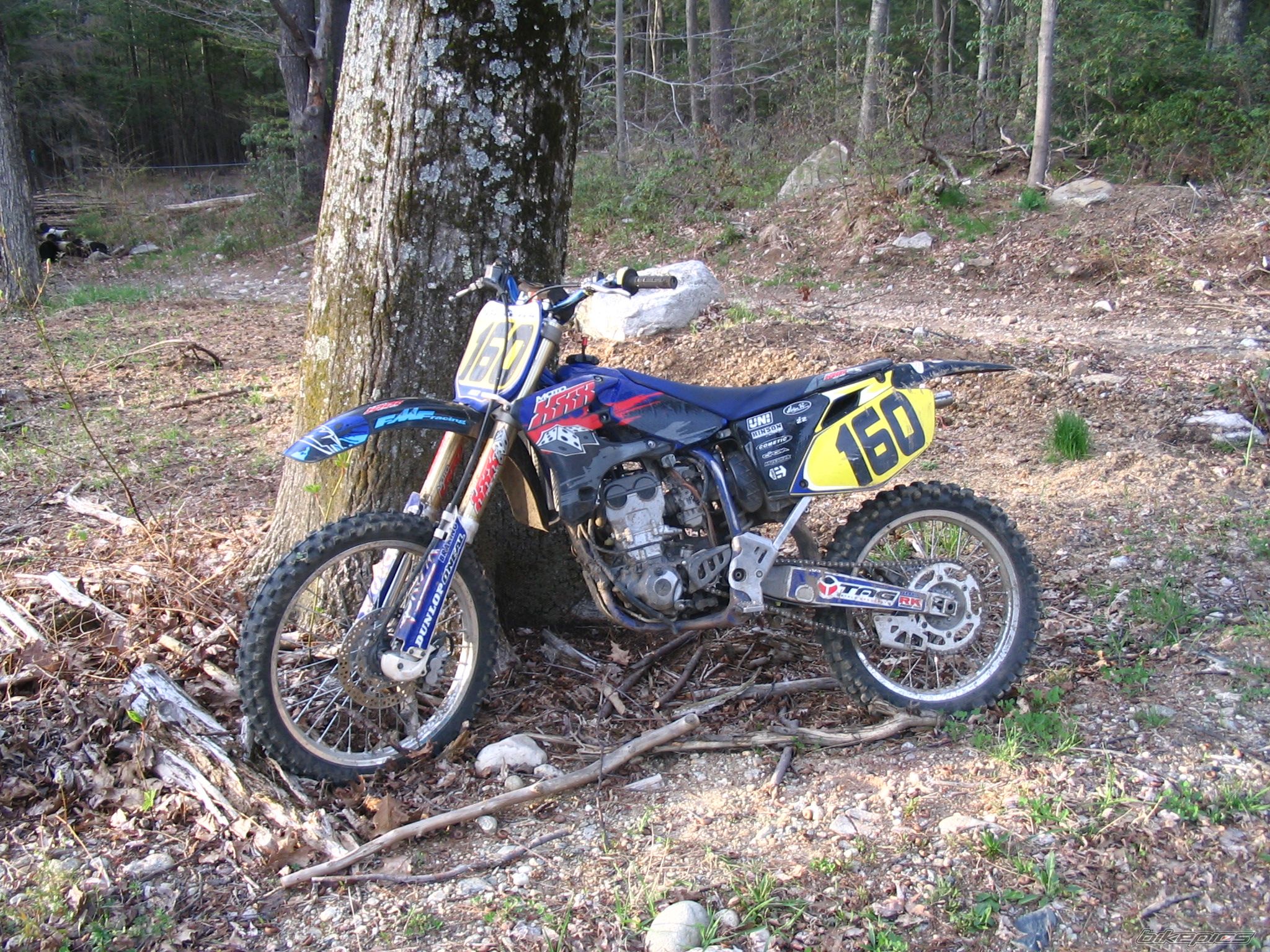Photo 1451744