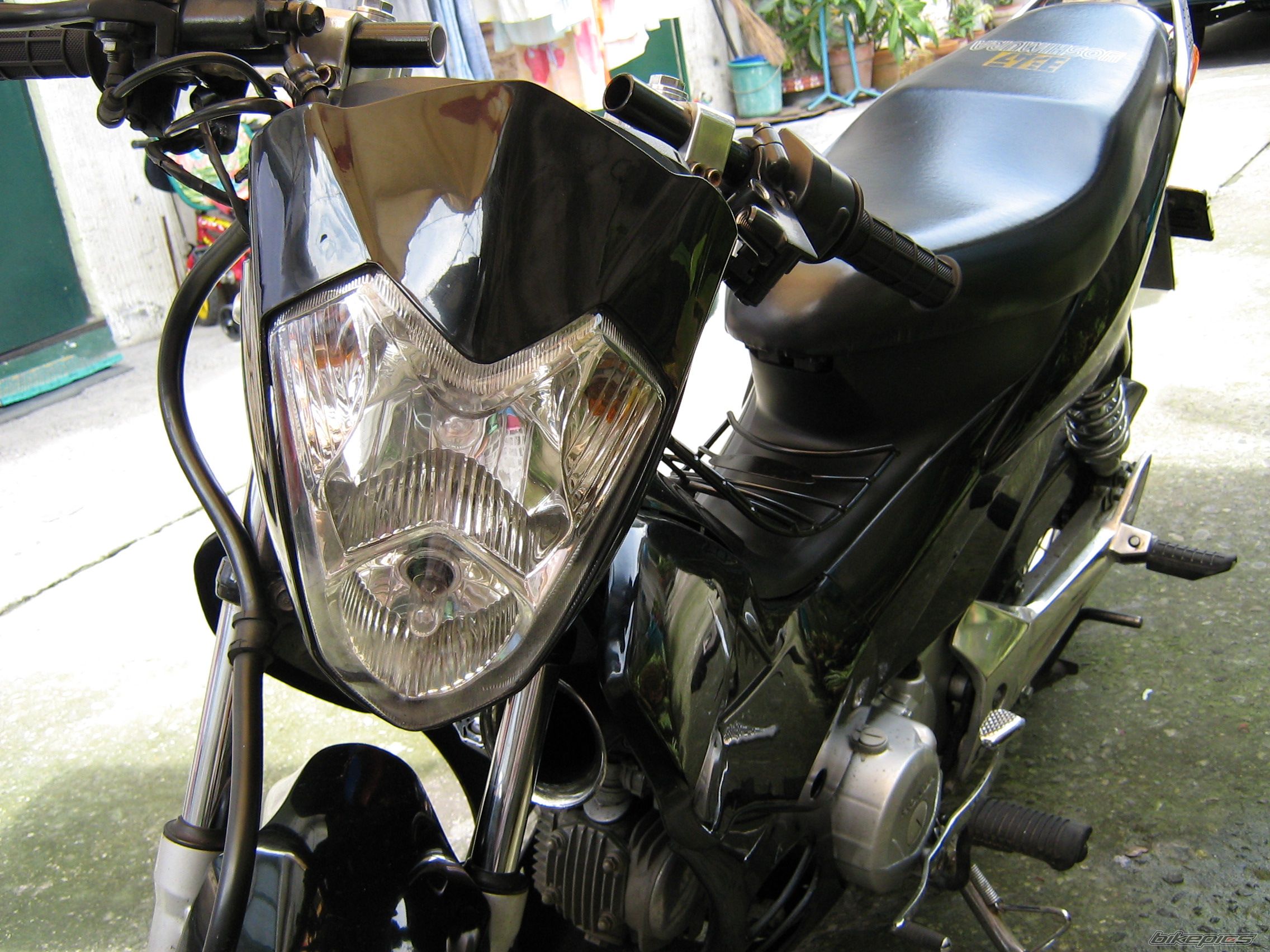 Photo 1451881