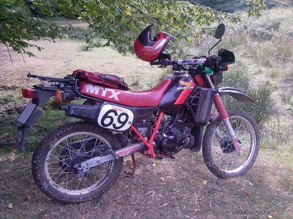 Photo 1451888