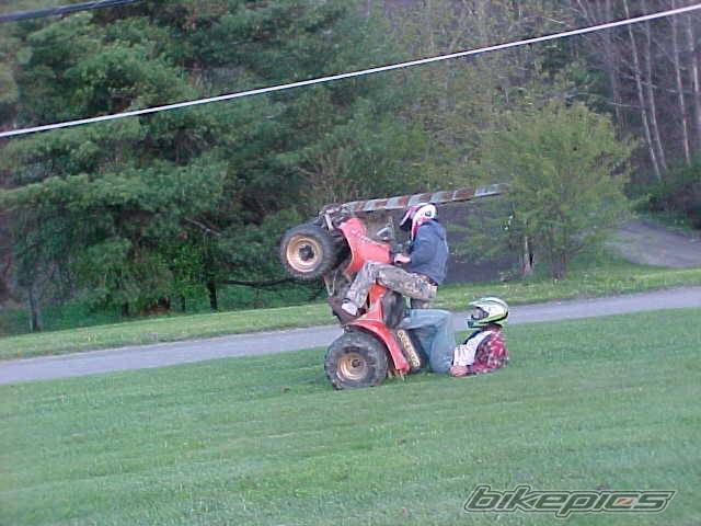 Photo 145198