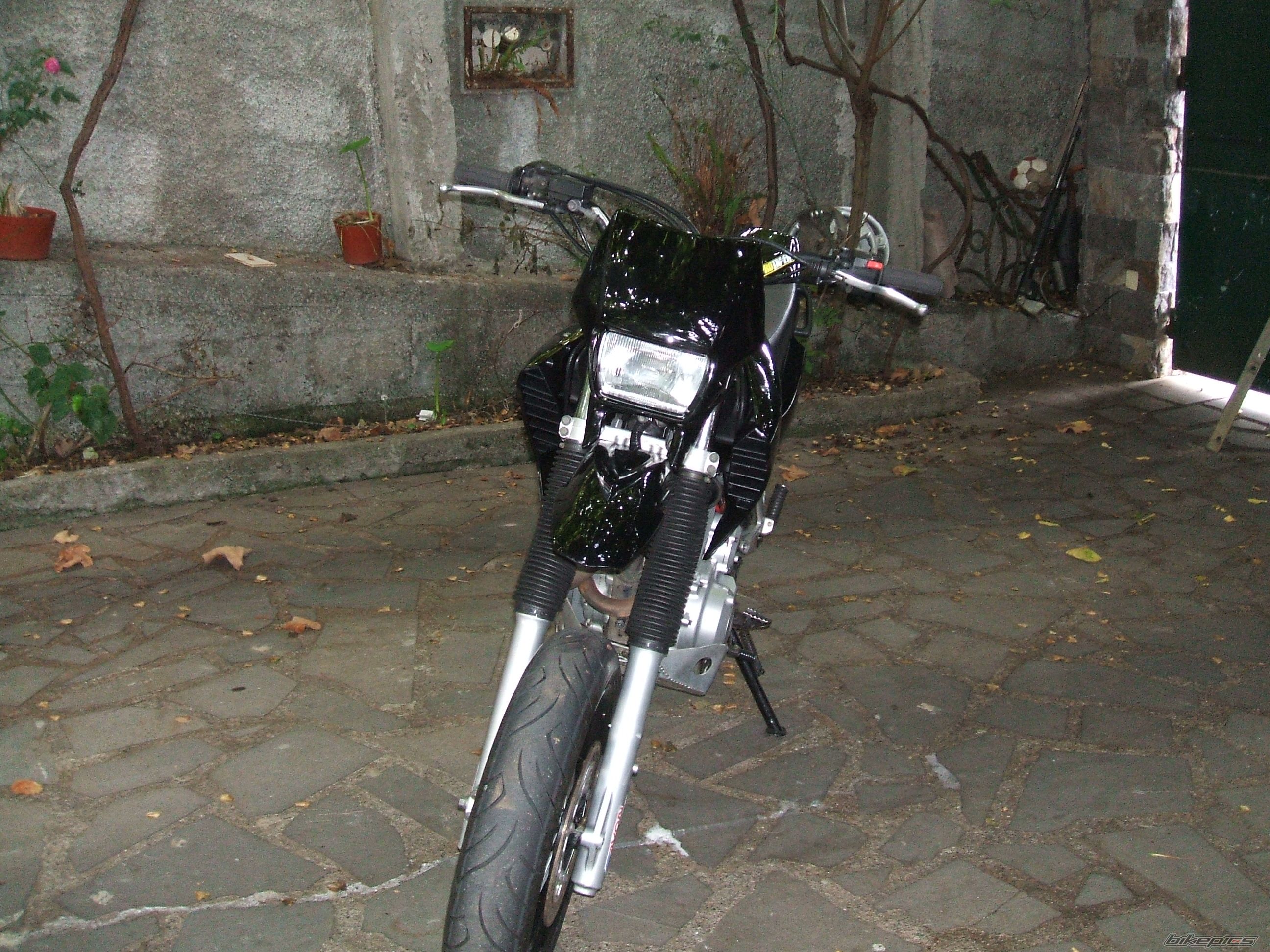 Photo 1452055