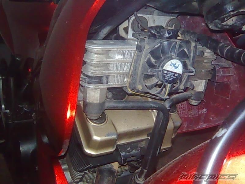 Bike Photo 1452096