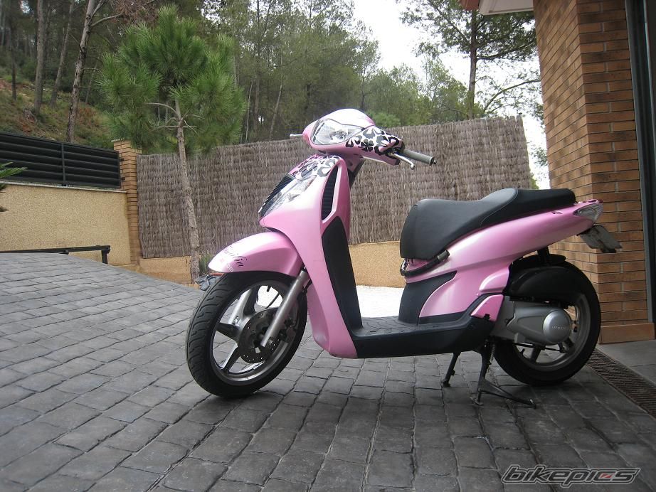Photo 1452210