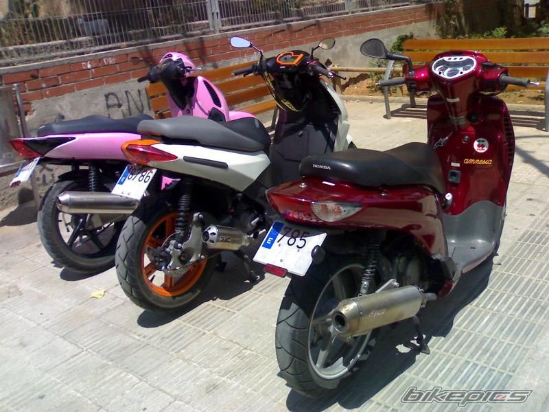 Bike Photo 1452240