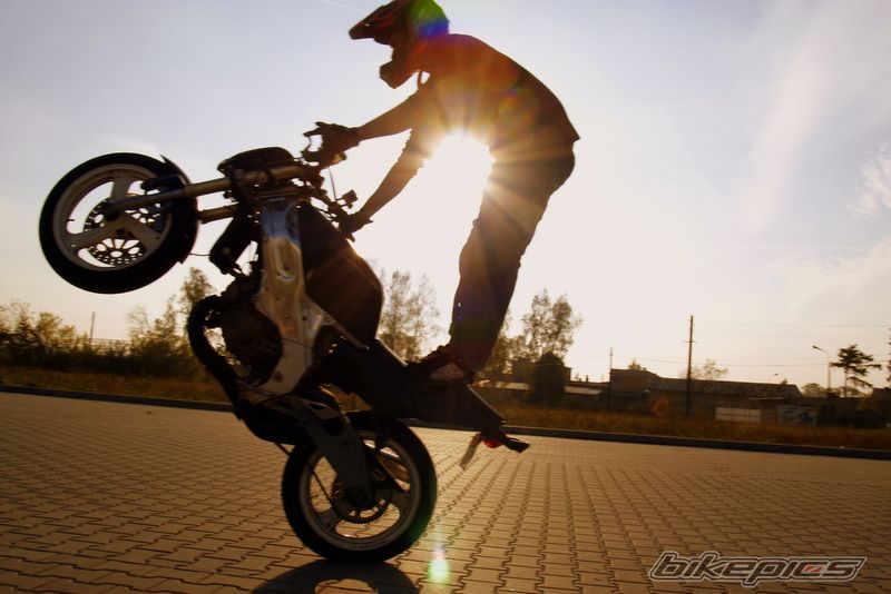 Photo 1452243
