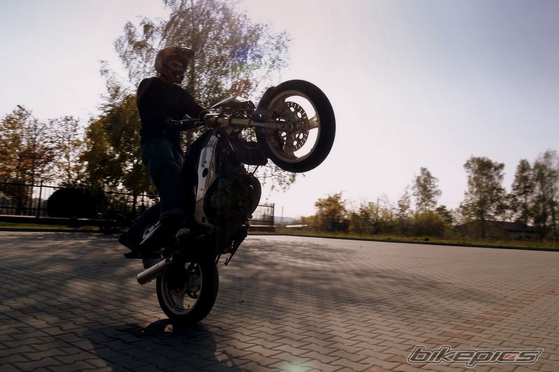 Photo 1452245